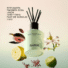 SOUL & ROOM FRAGRANCE AGATHIST 2